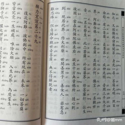 易經(jīng) 中華經(jīng)典誦讀教材傳統(tǒng)文化中國(guó)哲學(xué)宗教易經(jīng)雜說(shuō)占卜入門(mén)圖解雜說(shuō)智慧全書(shū)易經(jīng)入門(mén)國(guó)學(xué)經(jīng)典書(shū)籍兒童啟蒙讀物