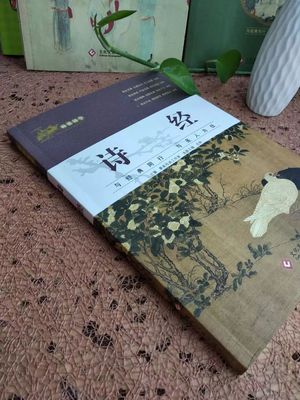 超值上新!國學文化最佳啟蒙讀物!覆蓋中小學課本必考國學知識,最美母語為孩子打造詩韻童年!